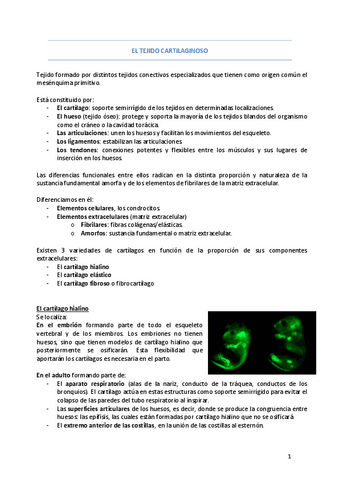 El-tejido-cartilaginoso.pdf