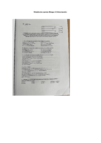 Modelo-examen-Bloque-1.pdf