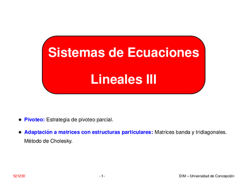 SistemasEcuacionesLinealesIII.pdf