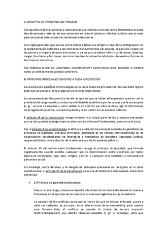 APUNTES-proceso-penal.pdf