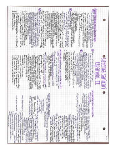 SISTEMA-SANITARI-II.pdf