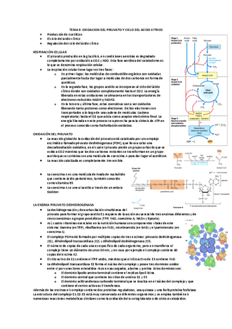 TEMA-9-oxidacion-del-piruvato-y-ciclo-del-acido-citrico.pdf