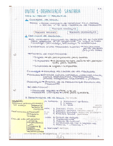 UNITAT-1-ORGANITZACIO-SANITARIA.pdf