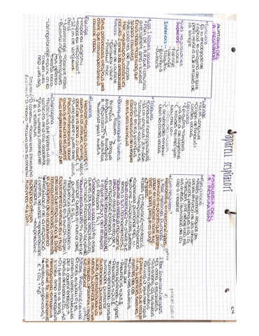 APARELL-RESPIRATORI-I-PATOLOGIES-RESPIRATORIES.pdf