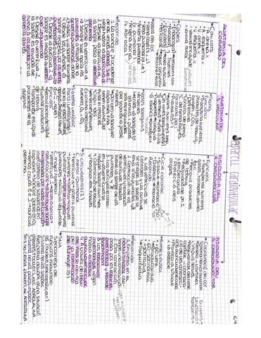 APARELL-CARDIOVASCULAR-PATOLOGIES-I-GRUPS-SANGUINIS.pdf