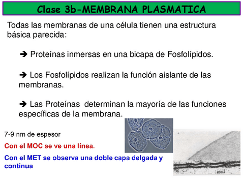 CLASE-3b-Membrana-transporte.pdf