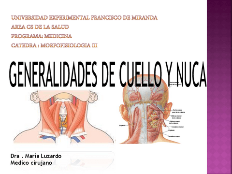 CUELLO Y NUCA.pdf