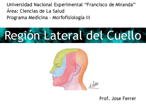 Región lateral del cuello.pdf