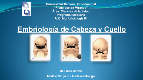 Embriología de cabeza y cuello.pdf