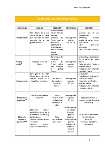 MIEMBRO-INFERIOR-APUNTES-3ER-PARCIAL.pdf