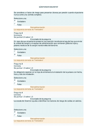 questionario-seguretat.pdf