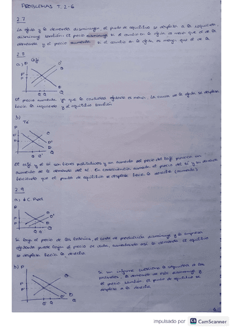 Primera-entrega..pdf