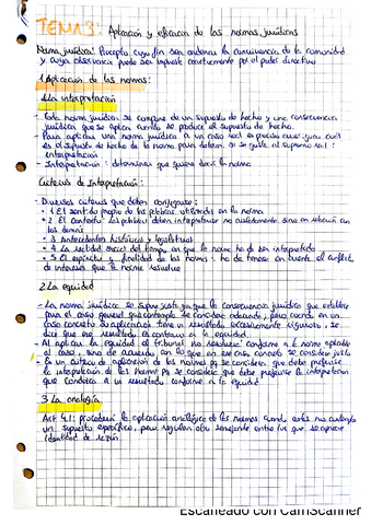 Tema-3-Aplicacion-y-eficacia-de-las-normas-juridicas.pdf