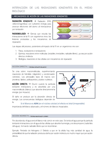 ESQUEMA-PROTECCION-2.pdf