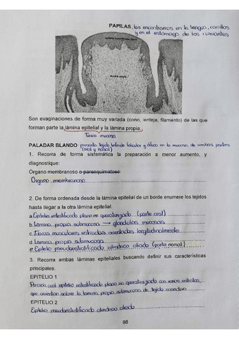 Practica-9-4oparcial.pdf