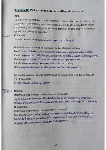 Practica-12-4oparcial.pdf