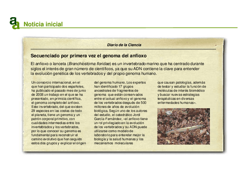 DUPLICACION-TRANSCRIPCION-TRADUCCION.pdf