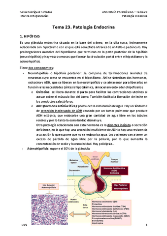 23.-Patologia-endocrina.pdf