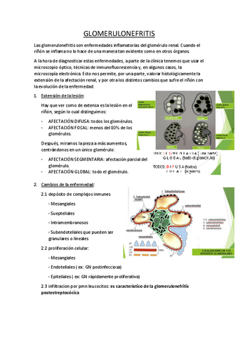 22.-Glomerulonefritis-estrellitas.pdf