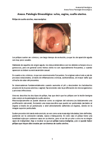 18.-Anexo-fotos-Patologia-Ginecologica-REVISADO-1.pdf
