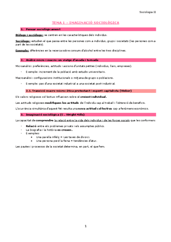 Tema-1-Imaginacio-sociologica.pdf
