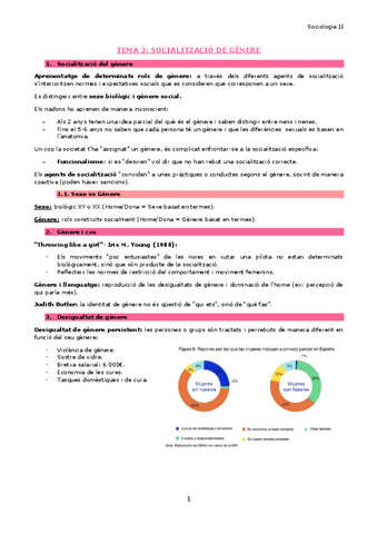 Tema-3-Socialitzacio-de-genere.pdf