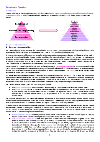 DERECHO-CONSTITUCIONAL-LECCION-9.pdf