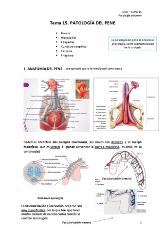 Tema-15.-Patologia-del-pene.pdf