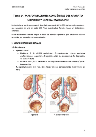 Tema-14.-Malformaciones-congenitas.pdf