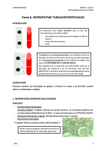 Tema-8.-Nefropatias-tubulointersticiales.pdf