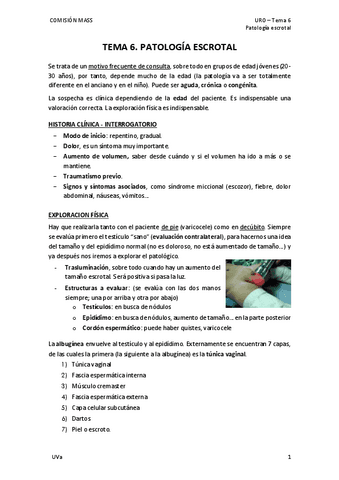 Tema-6.-Patologia-escrotal.pdf