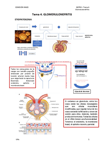 Tema-.-Glomerulonefritis-def.pdf