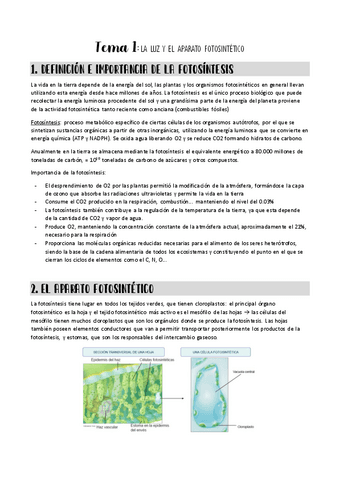 tema-1-vegetal.pdf