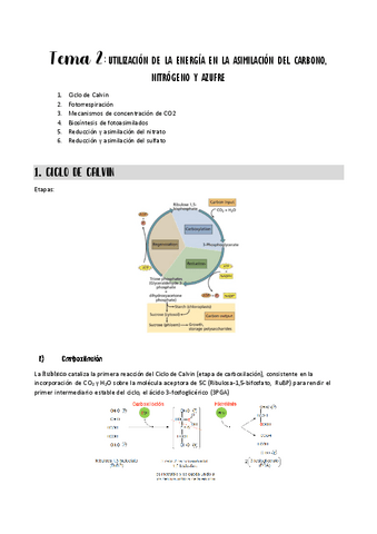 tema-2-vegetal.pdf