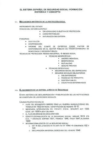 TEMA1-SISTEMA-ESPANOL-DE-SEGURIDAD-SOCIAL-1.pdf