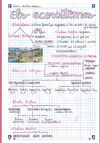 Esquema-tema-11-Biologia-i-Geologia-3ESO.pdf