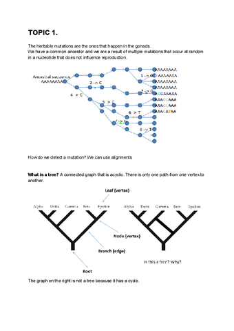 Genomica-Teoria.pdf