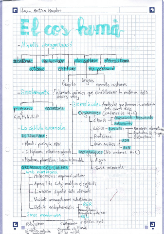 Esquema-tema-1-Biologia-i-Geologia-3ESO.pdf