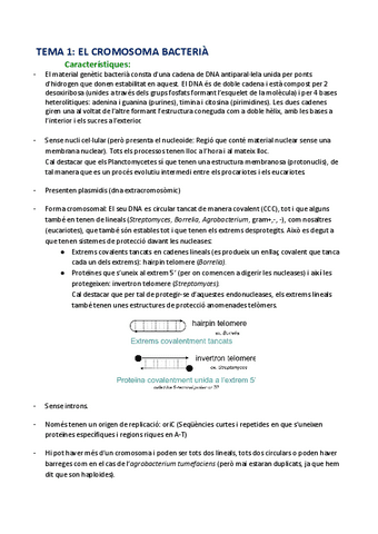 Apunts-tenog-un-9.3-de-nota-final.pdf