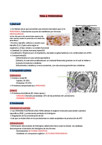 Tema-6-citologia-peroxisomas.pdf