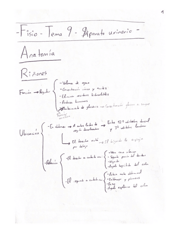 Resumen-Tema-9-Fisio.pdf
