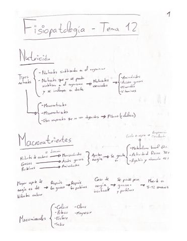 Resumen-Tema-12-Fisio.pdf