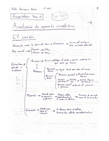 Resumen-Tema-6-Fisio.pdf