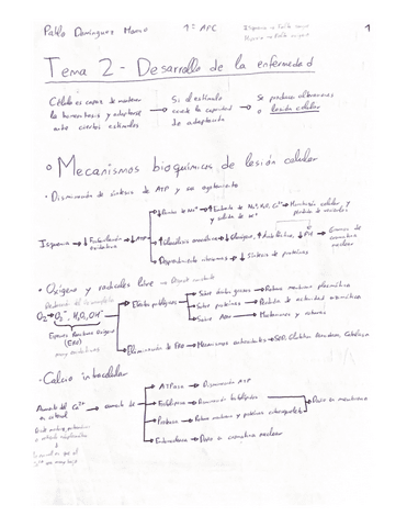 Resumen-Tema-2-Fisio.pdf