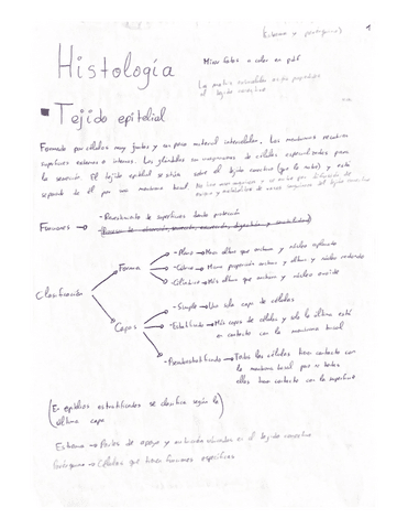 Resumen-Tema-1-Histologia-Fisio.pdf