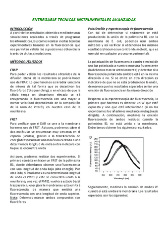 Projecte-TIA.pdf