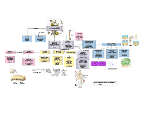 Osteologiamapa.pdf