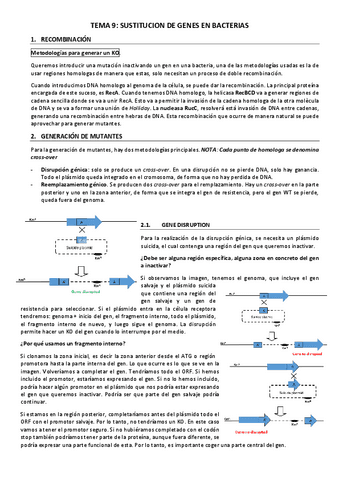 tema-9-egm-1.pdf