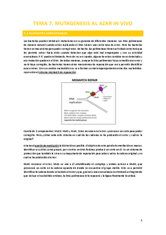 Tema-7.-Mutagenesis-al-azar-in-vivo.pdf