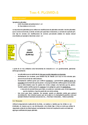 Tema-4.-Plasmidos.pdf